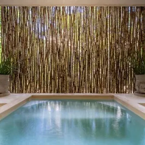  Holiday home Casa Cenote Private Pool Gated Mexico