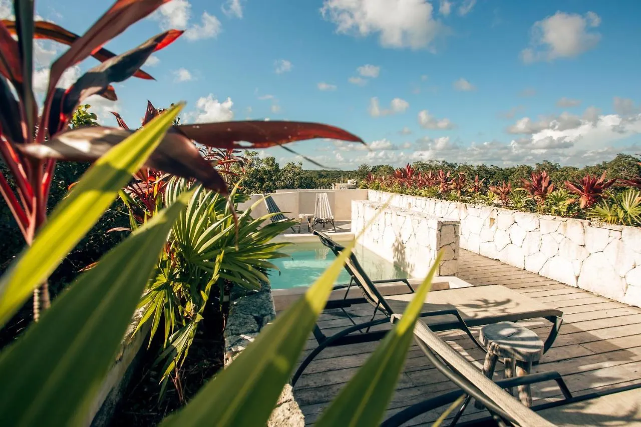 Apartmán Vida Jungle Boho Apart 13 With Special Fee To Access Hotel Bardo Tulum