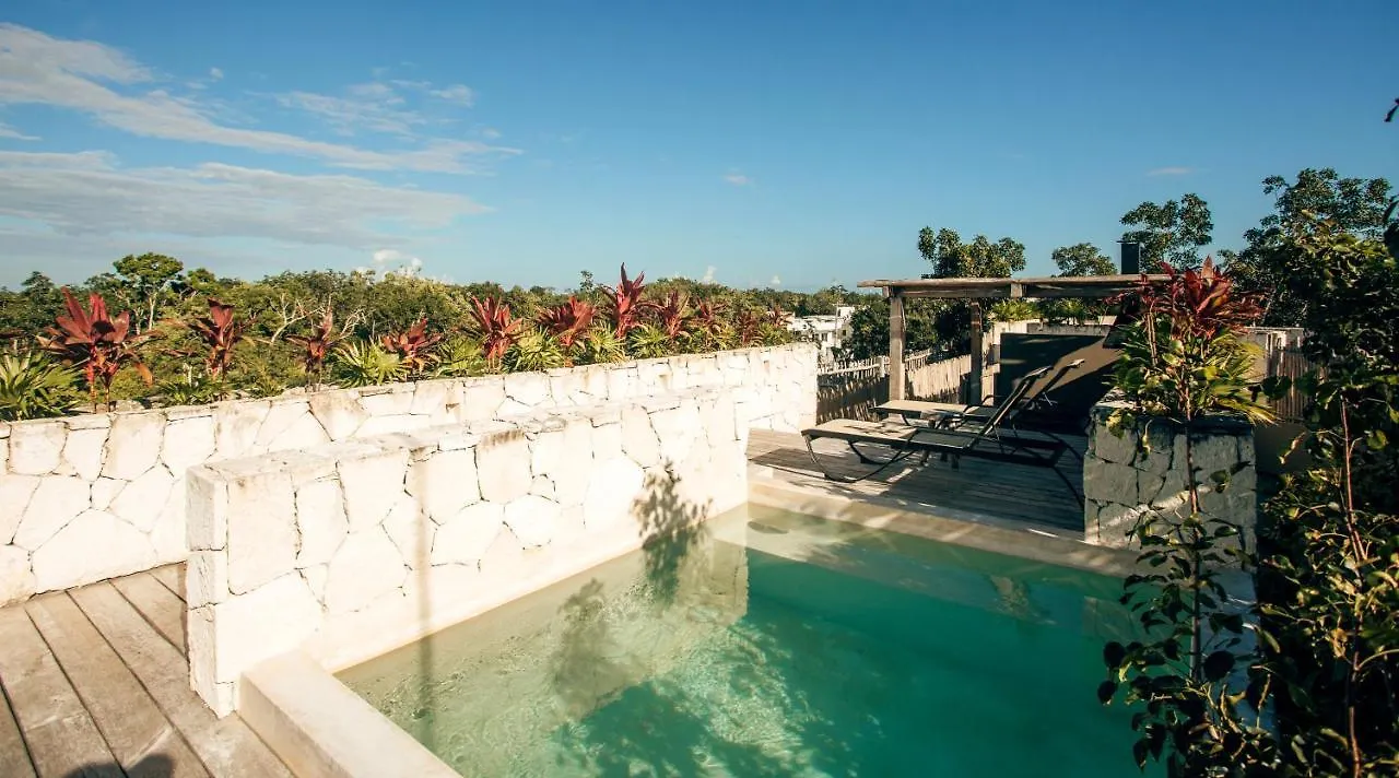 Apartmán Vida Jungle Boho Apart 13 With Special Fee To Access Hotel Bardo Tulum Mexiko
